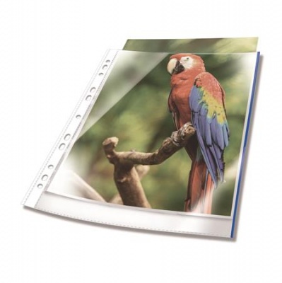 Genotherm, lefűzhető, PP, A4, 80 mikron, DURABLE "Prémium", kék